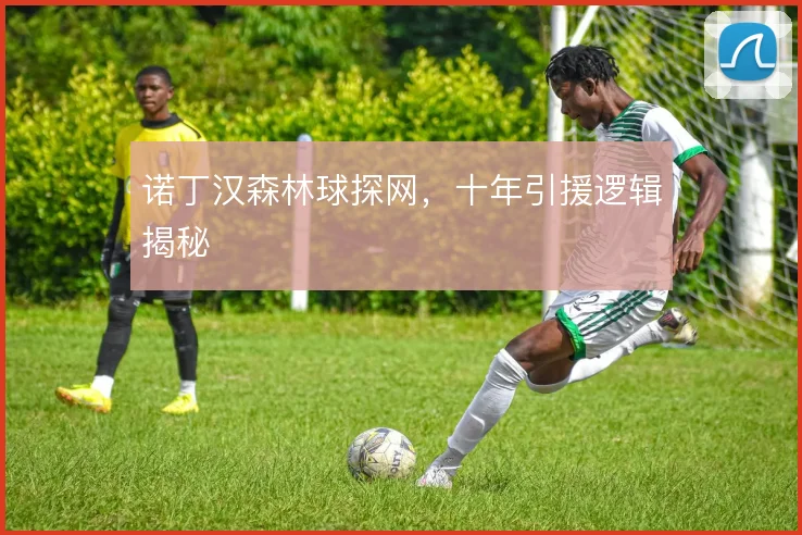 诺丁汉森林球探网,十年引援逻辑揭秘